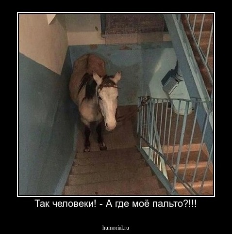Так человеки! - А где моё пальто?!!!