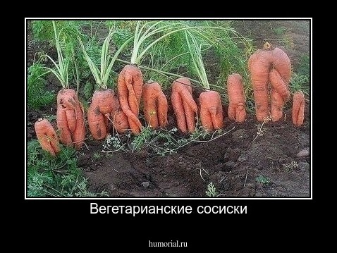 Вегетарианские сосиски
