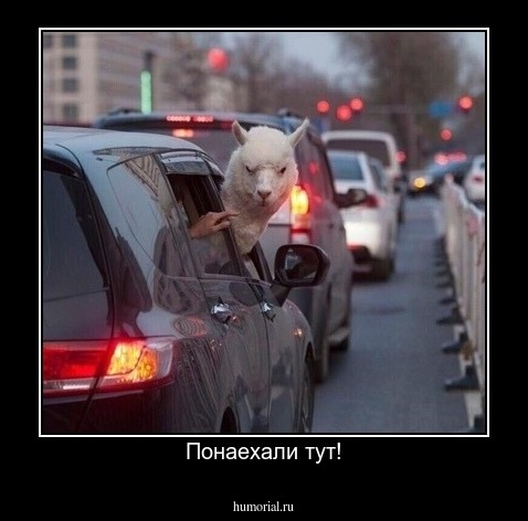 Понаехали тут!
