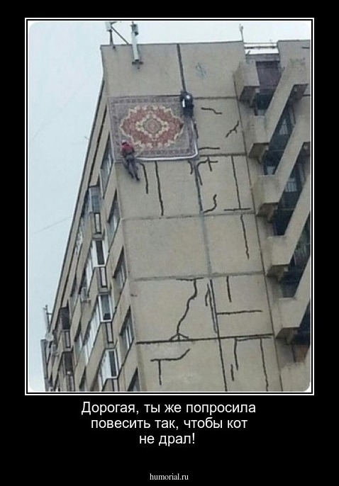 Дорогая, ты же попросила повесить так, чтобы кот не драл!