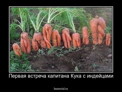 Первая встреча капитана Кука с индейцами