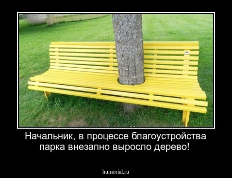 Начальник, в процессе благоустройства парка внезапно выросло дерево!