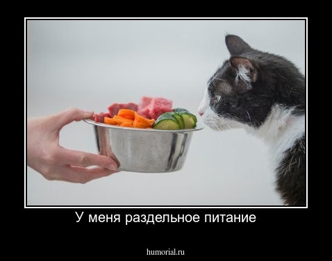 У меня раздельное питание