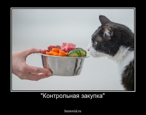 "Контрольная закупка"