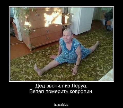 Дед звонил из Леруа. Велел померить ковролин