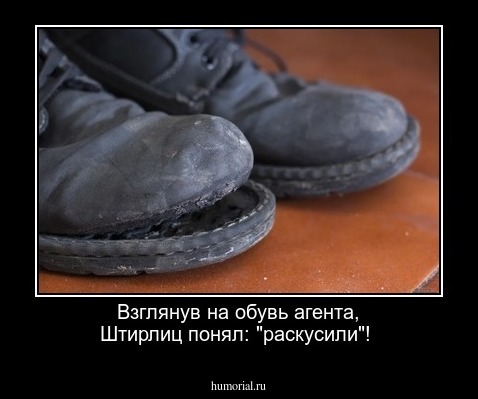 Взглянув на обувь агента, Штирлиц понял: "раскусили"!