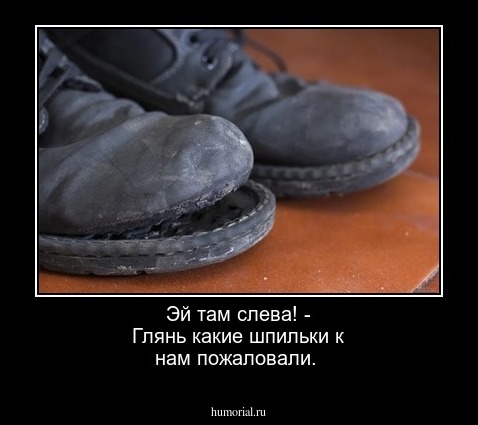 Эй там слева! - Глянь какие шпильки к нам пожаловали.