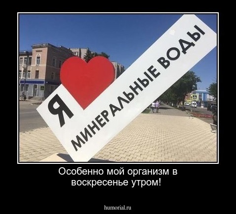 Особенно мой организм в воскресенье утром!