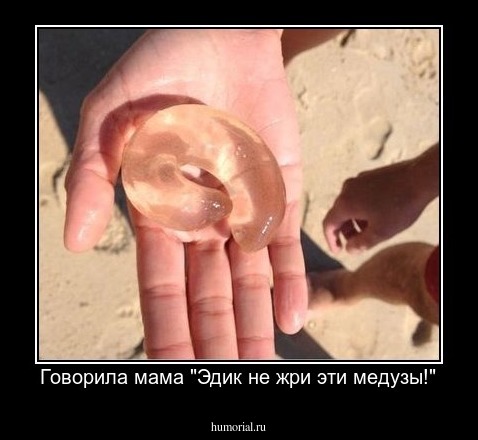 Говорила мама "Эдик не жри эти медузы!"