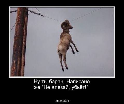 Ну ты баран. Написано же "Не влезай, убьёт!"