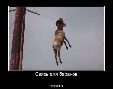 Связь для баранов
