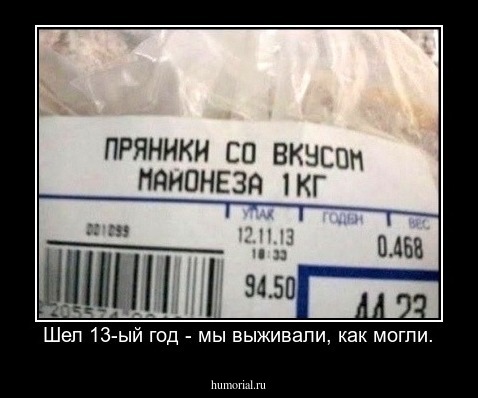 Шел 13-ый год - мы выживали, как могли.