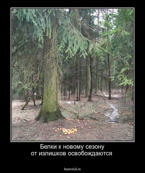 Белки к новому сезону от излишков освобождаются