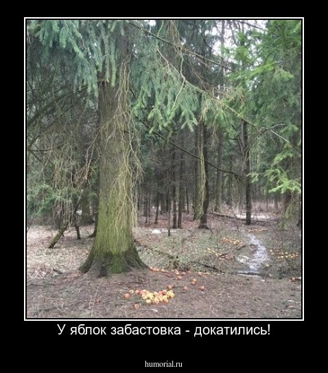 У яблок забастовка - докатились!