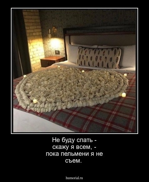 Не буду спать - скажу я всем, - пока пельмени я не съем.