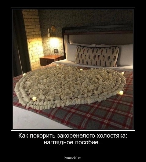 Как покорить закоренелого холостяка: наглядное пособие.