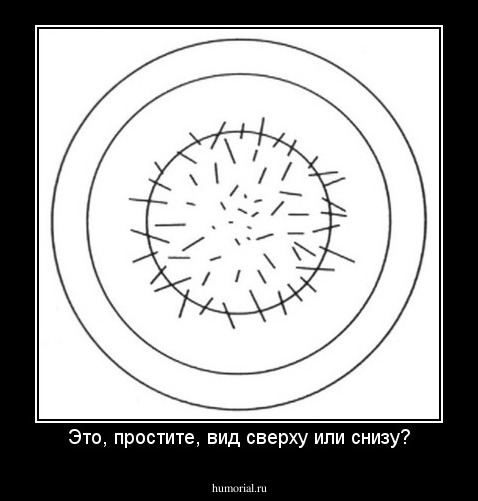Это, простите, вид сверху или снизу?