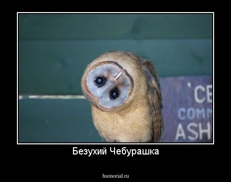 Безухий Чебурашка