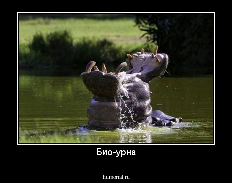 Био-урна