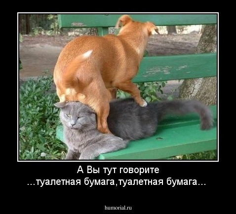 А Вы тут говорите ...туалетная бумага,туалетная бумага...