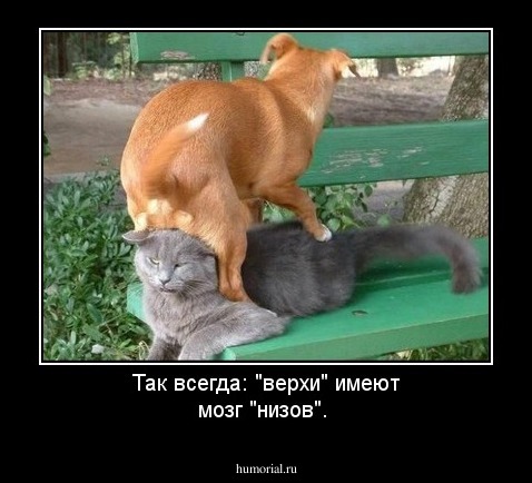 Так всегда: "верхи" имеют мозг "низов".