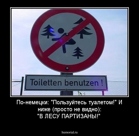 По-немецки:
"Пользуйтесь туалетом!"
И ниже (просто не видно): 
"В ЛЕСУ ПАРТИЗАНЫ!"