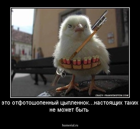 это отфотошопенный цыпленнок...настоящих таких не может быть
