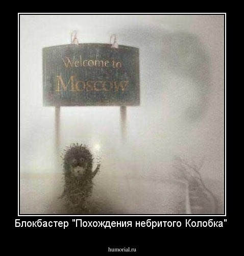 Блокбастер "Похождения небритого Колобка"