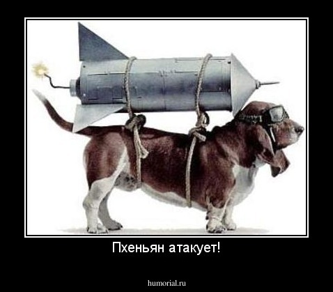 Пхеньян атакует!