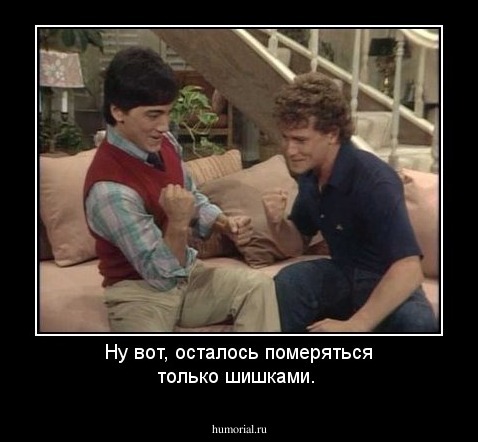 Ну вот, осталось померяться только  шишками.