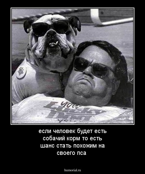 если человек будет есть собачий корм то есть шанс стать похожим на своего пса