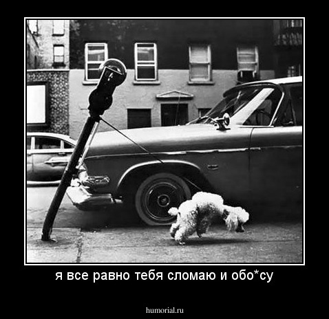 я все равно тебя сломаю и обо*су