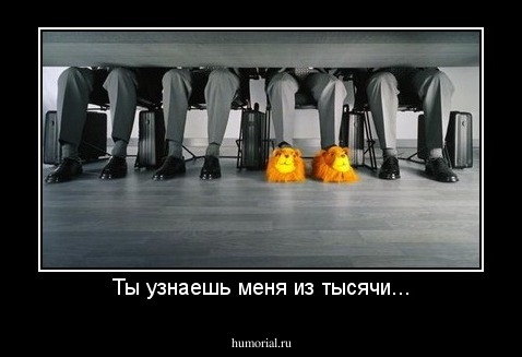 Ты узнаешь меня из тысячи...