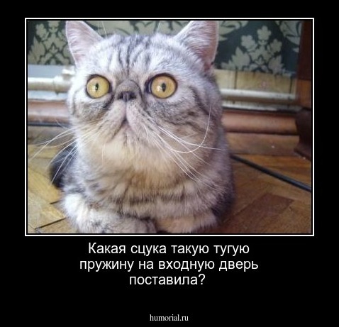 Какая сцука такую тугую пружину на входную дверь поставила?