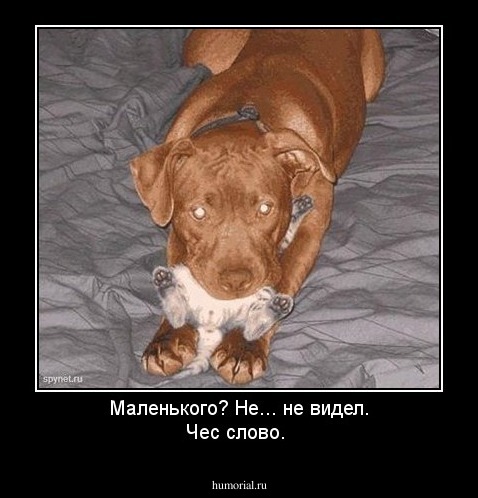 Маленького?
Не... не  видел. 
Чес слово.