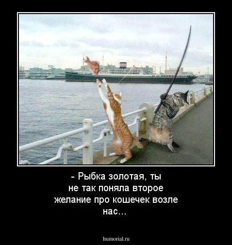 - Рыбка золотая, ты не так поняла второе желание про кошечек возле нас...