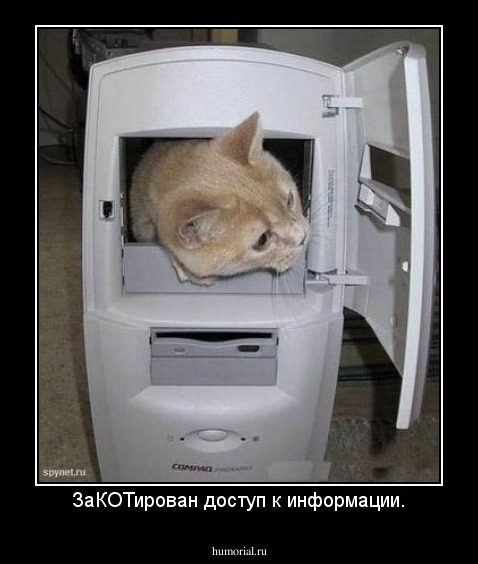 ЗаКОТирован доступ к информации.