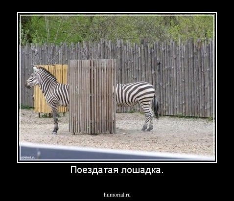 Поездатая лошадка.