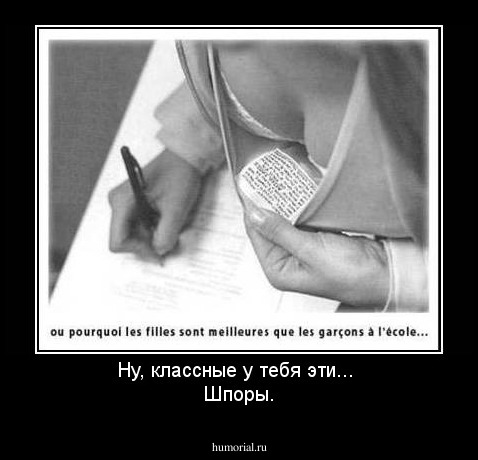 Ну, классные у тебя эти... 
Шпоры.
