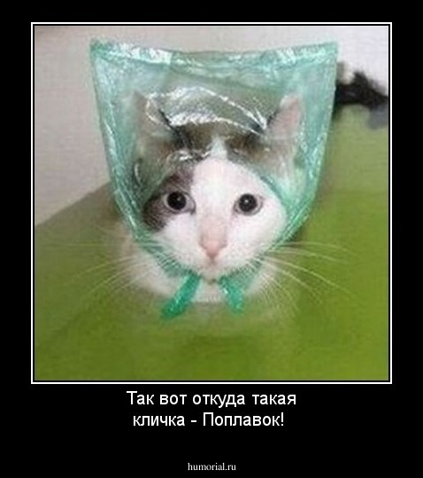 Так вот откуда такая кличка - Поплавок!