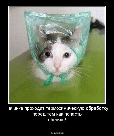 Начинка проходит термохимическую обработку перед тем как попасть в беляш!