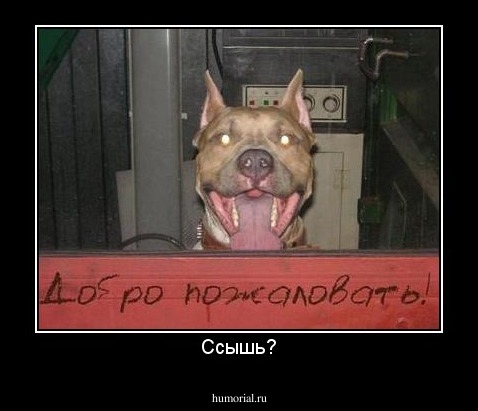Ссышь?