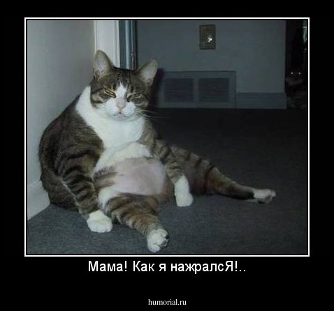Мама! Как я нажралсЯ!..