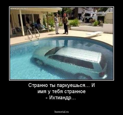 Странно ты паркуешься... И имя у тебя странное - Ихтиандр...