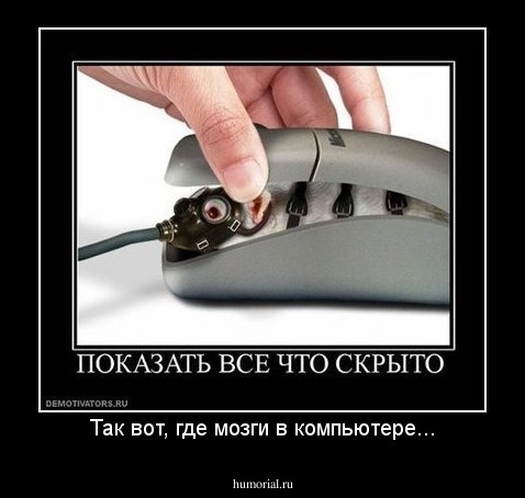 Так вот, где мозги в компьютере...