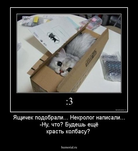 Ящичек подобрали... Некролог написали...   -Ну, что? Будешь ещё красть колбасу?