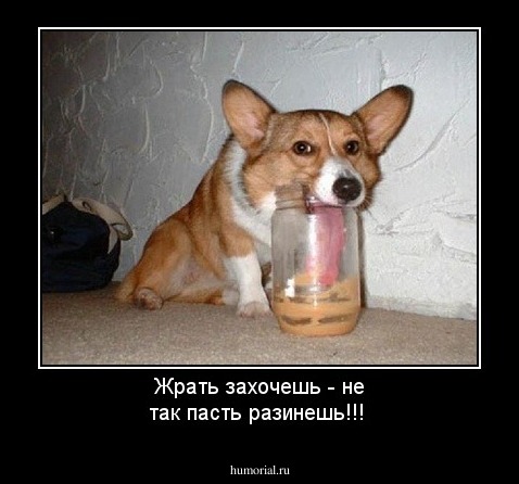 Жрать захочешь - не так пасть разинешь!!!