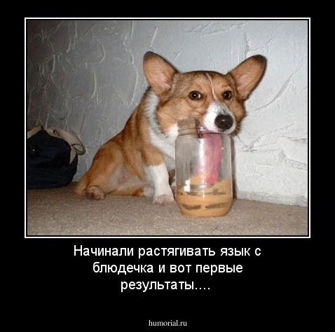 Начинали растягивать язык с блюдечка и вот первые результаты....