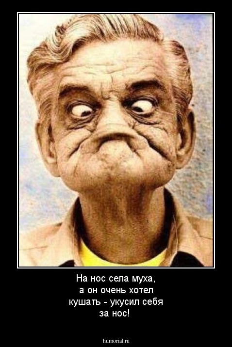 На нос села муха, а он очень хотел кушать - укусил себя за нос!