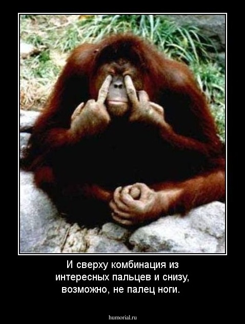 И сверху комбинация из интересных пальцев и снизу, возможно, не палец ноги.